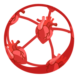 soccer ball and anatomical heart