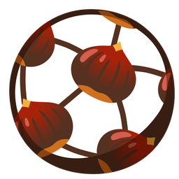soccer ball and chestnut