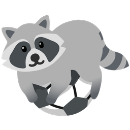 soccer ball and raccoon