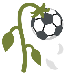 soccer ball and wilted flower