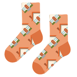 socks and house