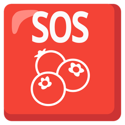 SOS button and blueberries