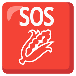 SOS button and ear of corn