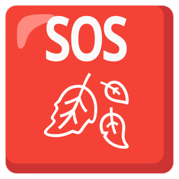 SOS button and fallen leaf