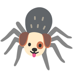 spider and dog face
