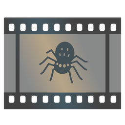 spider and film frames