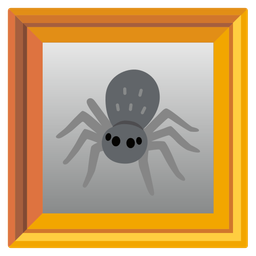 spider and framed picture