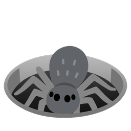 spider and hole
