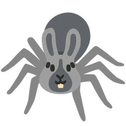spider and rabbit face