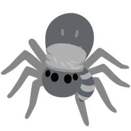 spider and raccoon