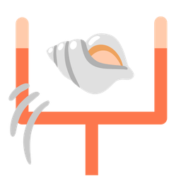 spiral shell and american football