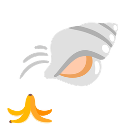 spiral shell and banana