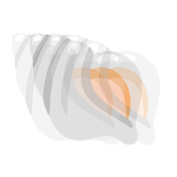 spiral shell and beating heart