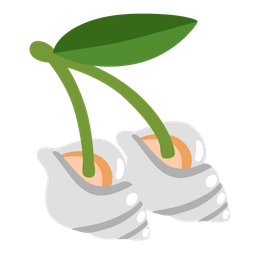 spiral shell and cherries