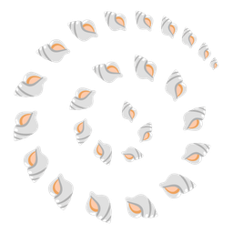 spiral shell and cyclone