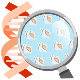 spiral shell and dna