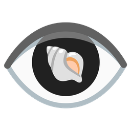 spiral shell and eye