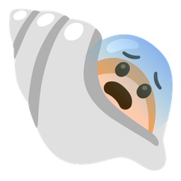 spiral shell and fearful face