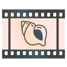 spiral shell and film frames