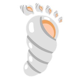 spiral shell and footprints