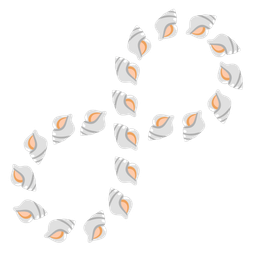 spiral shell and infinity