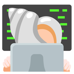 spiral shell and laptop