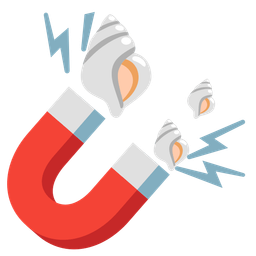 spiral shell and magnet