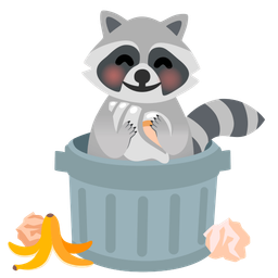 spiral shell and raccoon