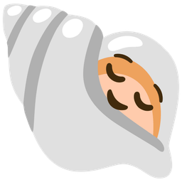 spiral shell and relieved face