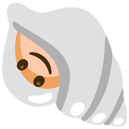 Spiral shell and Upside-down face