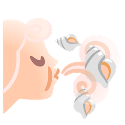 spiral shell and wind face