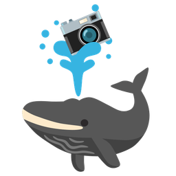 spouting whale and camera
