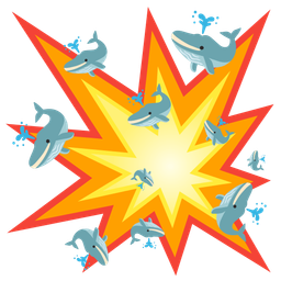 spouting whale and collision