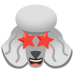 star-struck and poodle