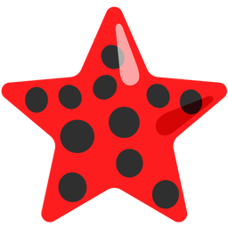 star and lady beetle