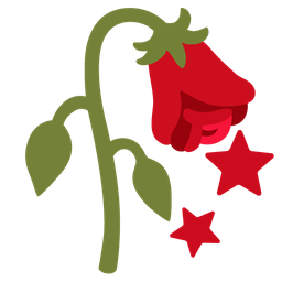 star and wilted flower