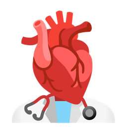 stethoscope and anatomical heart