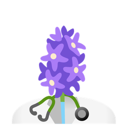 stethoscope and hyacinth