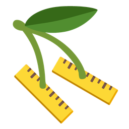 straight ruler and cherries