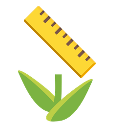 straight ruler and tulip