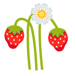 strawberry and blossom