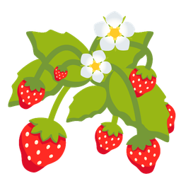 strawberry and evergreen tree