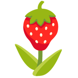 strawberry and tulip