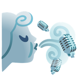 studio microphone and wind face