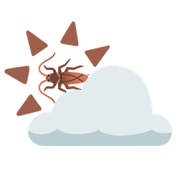 sun behind cloud and cockroach