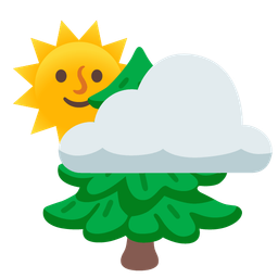sun behind cloud and evergreen tree