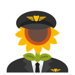 sunflower and airplane