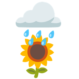 sunflower and cloud with rain