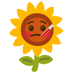 sunflower and face with thermometer