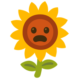 sunflower and frowning face with open mouth